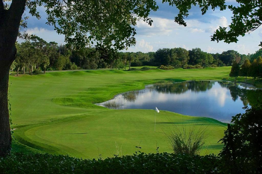 Of Grand Cypress Resort